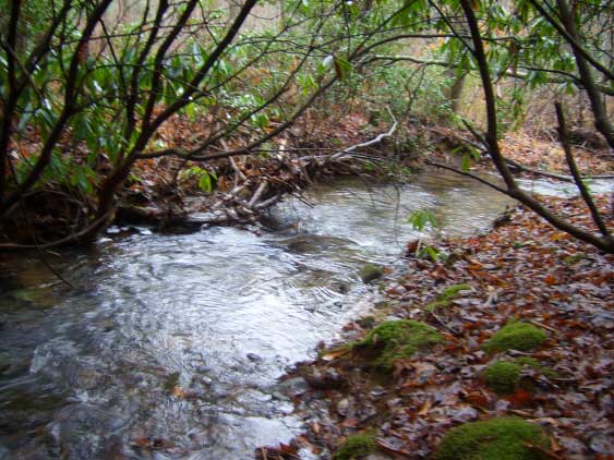 Four Creeks - East Tennessee Land