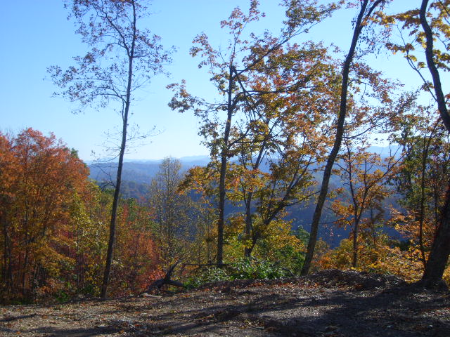 Comby Ridge - East Tennessee Land