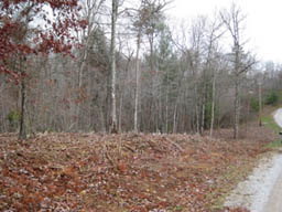 Grimsley Hills - East Tennessee Land with 100% Owner Financing