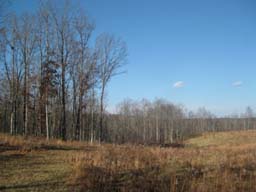 Wilder Acres - East Tennessee Land with 100% Owner Financing